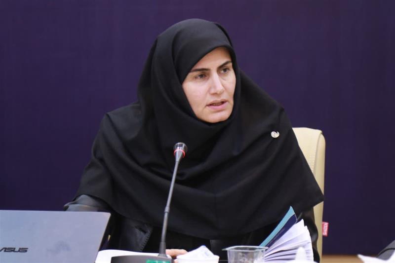 کلنگ زنی نیروگاه 500 مگاواتی با سرمایه‌گذاری چینی‌ها در خدابنده/ شناسایی 1800 هکتار اراضی برای واگذاری به متقاضیان تولید انرژی تجدید پذیر در زنجان