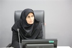 رایزنی با معاون وزیر اقتصاد در راستای تکمیل پتروشیمی زنجان