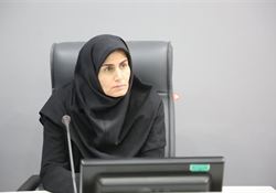 رایزنی با معاون وزیر اقتصاد در راستای تکمیل پتروشیمی زنجان