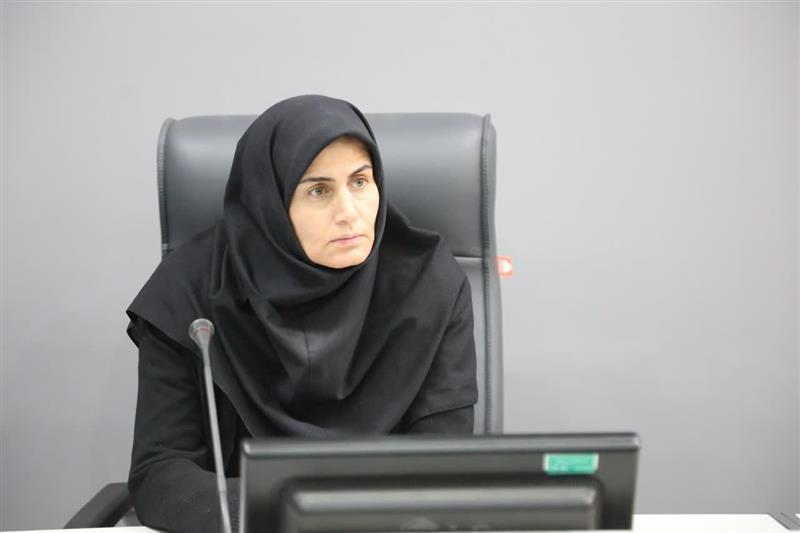 رایزنی با معاون وزیر اقتصاد در راستای تکمیل پتروشیمی زنجان