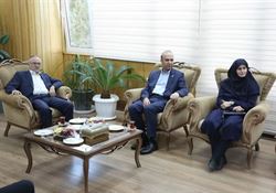 پیشنهاد ایجاد شهرک اختصاصی ترکیه در زنجان با هدف توسعه همکاری‌های صنعتی