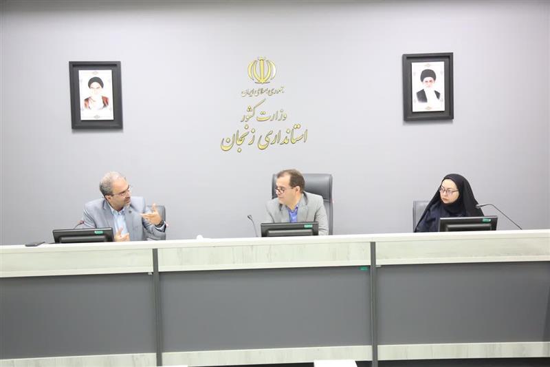 اجرای فیبر نوری در شهر زنجان به پیشرفت ۴۰ درصدی رسید
