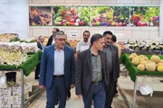 بازدید میدانی استاندار زنجان از فروشگاه‌ها و نانوایی‌ها و جایگاه...