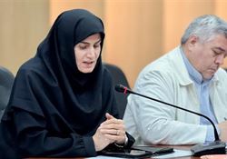 واحد‌های تولیدی زنجان همراهی مطلوبی با دولت در جنگ ۱۲ روزه داشتند