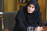 نشست تخصصی توسعه سرمایه‌گذاری‌های صنعتی در استان زنجان برگزار شد