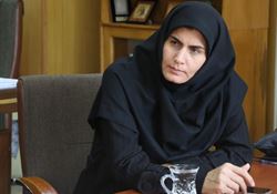 نشست تخصصی توسعه سرمایه‌گذاری‌های صنعتی در استان زنجان برگزار شد