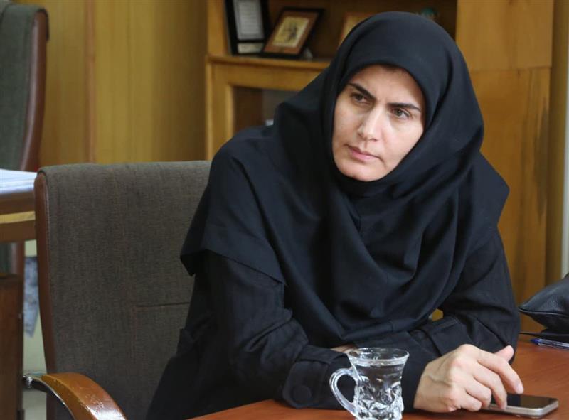 نشست تخصصی توسعه سرمایه‌گذاری‌های صنعتی در استان زنجان برگزار شد