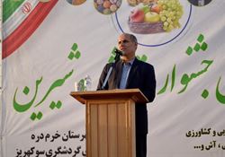 برگزاری جشنواره‌های روستایی در ۱۵ نقطه زنجان / تأکید بر نقش روستاها در توسعه و گردشگری