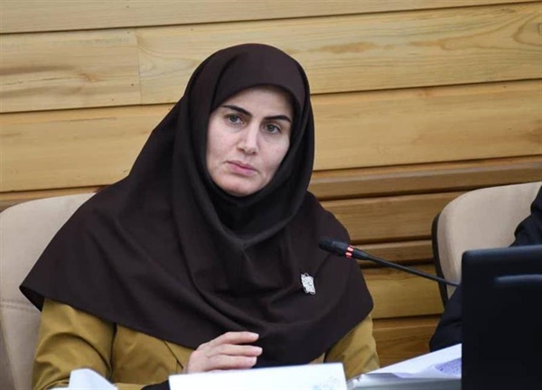 تأکید معاون اقتصادی استانداری زنجان بر تسریع اجرای مصوبات سفر رئیس‌جمهور در نشست کمیسیون هماهنگی بانک‌ها