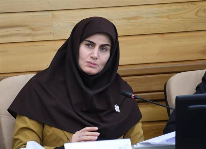 تأکید معاون اقتصادی استانداری زنجان بر تسریع اجرای مصوبات سفر رئیس‌جمهور در نشست کمیسیون هماهنگی بانک‌ها