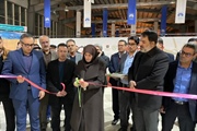 حمایت از زنجیره آرد و نان در اولویت استان است