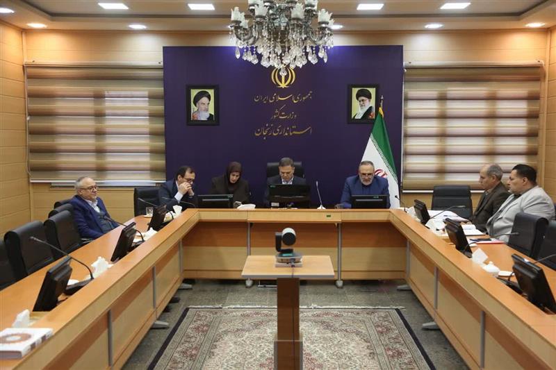 تأکید دولت بر حمایت هم‌زمان از معیشت مردم و تولید در نشست ویدئوکنفرانسی با حضور استاندار زنجان