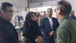 تحول در زنجیره تولید و صادرات طارم؛ از سیاست‌گذاری کلان زیتون تا پیگیری فوری معضل پساب در شهرک صنعتی / تأکید معاون استاندار بر تسهیل صادرات و رفع موانع تولید