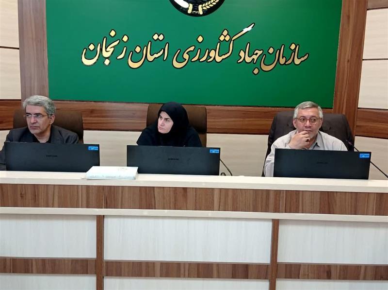 تسریع در پرداخت مطالبات گندمکاران اولویت کارگروه خرید تضمینی استان است
