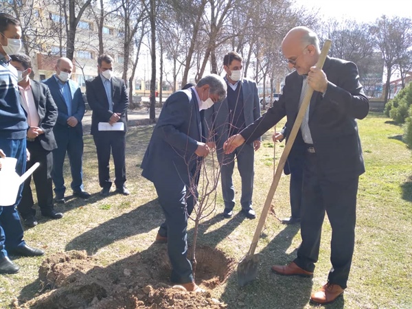 کاشت نهال در فرمانداری زنجان بیاد "سردارشهید حاج قاسم سلیمانی"
