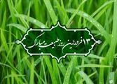 " طبیعت برای تداوم حیات خویش به رفتار درست انسان ها نیازمند است"