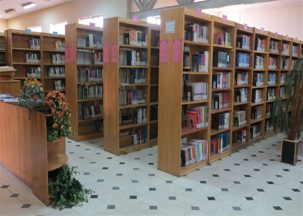 کتابخانه ها، با رفتار حرفه ای کتابداران آراسته شوند