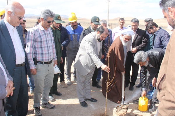 غرس نمادین نهال به مناسبت روز درختکاری