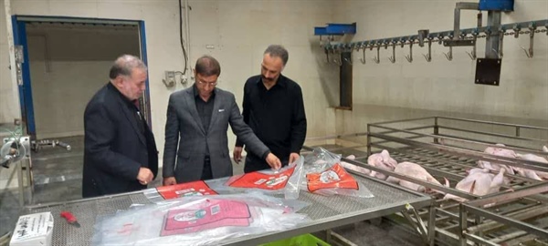 بازدید شبانه‌ی فرماندار زنجان از کشتارگاه «صبا مرغ» در راستای نظارت بر بازار
