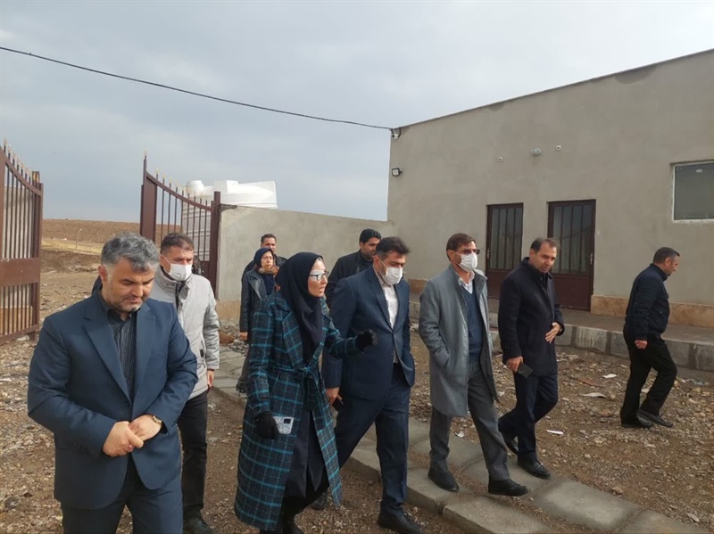 بازدید و دستور ویژه‌ی فرماندار زنجان برای فعال‌سازی پناهگاه سگ‌های بلاصاحب