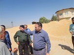 بازدید دکتر محمدی معاون اقتصادی استاندار از مراکز خرید گندم شهرستان