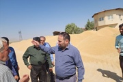بازدید دکتر محمدی معاون اقتصادی استاندار از مراکز خرید گندم شهرستان