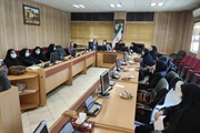 برگزاری جلسه کمیته بانوان شهرستان ابهر با حضور  ذوالقدر فرماندار...