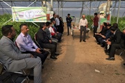 آیین بهره برداری از  پروژه احداث گلخانه “پیوند اصلاح نهال ابهر”...