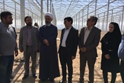 بازدید ذوالقدر فرماندار ابهر به همراه حجت الاسلام شجاعی نماینده...