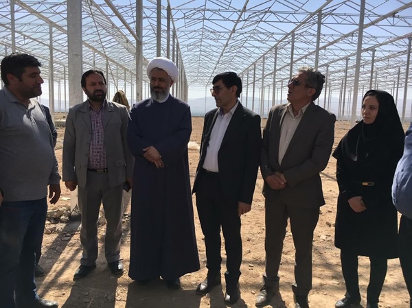بازدید ذوالقدر فرماندار ابهر به همراه حجت الاسلام شجاعی نماینده مردم منطقه در مجلس شورای اسلامی و عباسی معاون آب و خاک وزیر جهاد و کشاورزی از گلخانه ۶۰ هکتاری وحدت هیدج