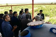 آیین بهره برداری از پروژه تکمیل شبکه آبیاری تحت فشار اراضی پایاب...
