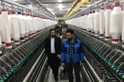 بازدید از صنایع شهرستان ابهر به منظور بررسی مسائل و رفع مشکلات