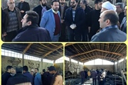 بازدید میدانی فرماندار شهرستان ابهر از واحد صنعتی تولیدی کفش آتش...