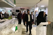 بازدید سرزده ذوالقدر فرماندار شهرستان ابهر، از روند بهسازی و...