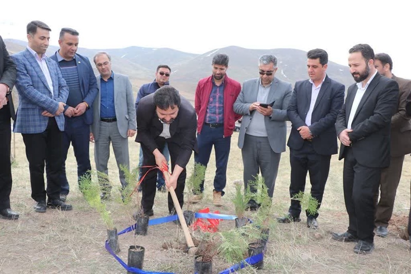 آیین کلنگ زنی و درخت کاری پروژه احداث جنگل، با حضور احمد ذوالقدر فرماندار و جمعی از مسئولین شهرستان ابهر در ناحیه شمال شهر