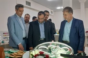 بازدید مهندس خلجی فرماندار شهرستان ابهر از غرفه های نمایشگاه مشاغل...