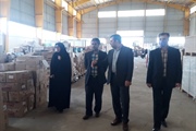 بازدید مدیر کل امنیتی، انتظامی، اتباع و مهاجرین خارجی از انبار...