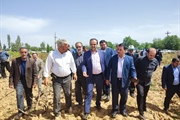 بازدید از باغات