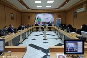 بیست و هشتمین  کنفرانس تخصصی حقوق کودک در زنجان برگزار شد
