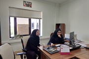 ارزیابی عملکرد دستگاه های اجرایی