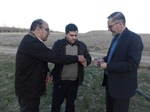 بازدید فرماندار ماهنشان از مزارع کاشت زعفران و استخر ذخیره آب کشاورزی