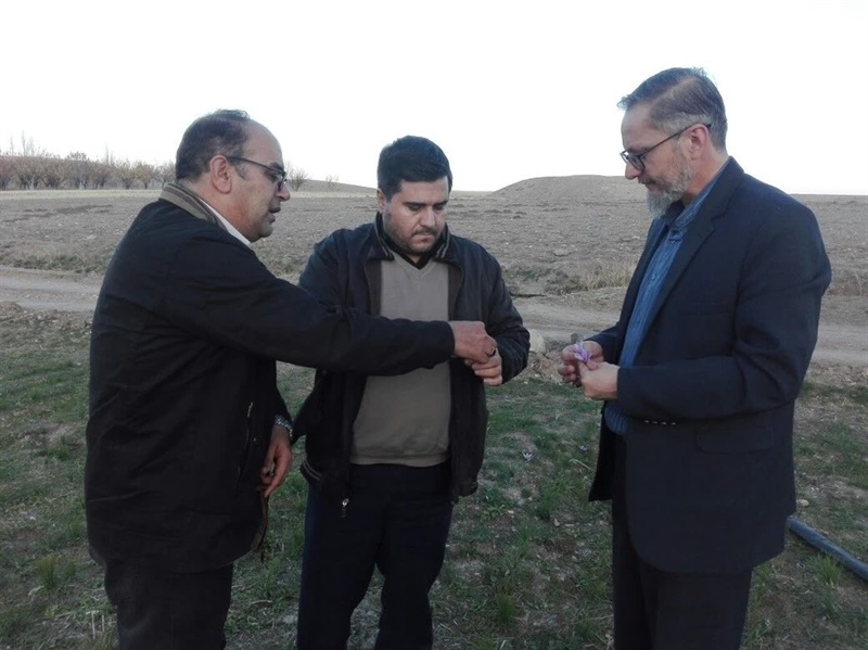 بازدید فرماندار ماهنشان از مزارع کاشت زعفران و استخر ذخیره آب کشاورزی