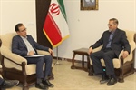 دیدار مدیر کل میراث فرهنگی استان زنجان با فرماندار ماهنشان