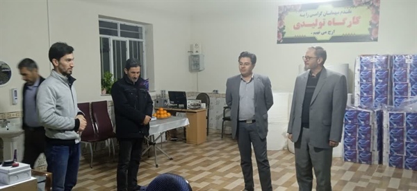 بازدید فرماندار ماهنشان از یک کارگاه خانگی کوچک دستمال کاغذی