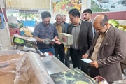 بازدید دکتر ولی بیگلو فرماندار شهرستان ماه نشان از مراکز نانوایی و...
