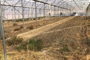 بازدید کمیته نظارت طرح اشتغال روستایی استان از شهرستان طارم