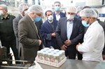 بازدید دکتر حسینی معاون امور مجلس رئیس جمهور و دکتر افشارچی استاندار زنجان از واحد فراوری زیتون و تولید روغن زیتون در شهرستان طارم