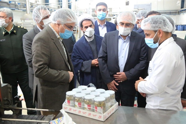 بازدید دکتر حسینی معاون امور مجلس رئیس جمهور و دکتر افشارچی استاندار زنجان از واحد فراوری زیتون و تولید روغن زیتون در شهرستان طارم