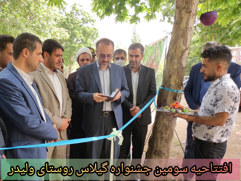 سومین جشنواره گیلاس با حضور مسئولین استانی و شهرستانی در روستای ولیدر شهرستان طارم افتتاح شد
