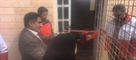 افتتاح خانه هلال روستای حصار با حضور بیات بخشدار زنجانرود